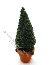 Miniature 5-1/2 Topiary in Mossy Terracotta Pot for Dollhouses (image for) Miniature 5-1/2 Topiary in Mossy Terracotta Pot for Dollhouses
