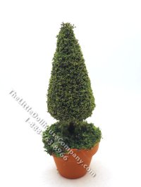 Miniature 5" Topiary in Mossy Terracotta Pot for Dollhouses (image for) Miniature 5" Topiary in Mossy Terracotta Pot for Dollhouses