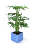 Miniature Potted Parlour Palm by Mini Creations by Judy (image for) Miniature Potted Parlour Palm by Mini Creations by Judy