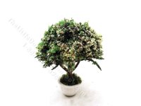 Miniature 2-3/8" inch Potted Topiary with White Blossoms (image for) Miniature 2-3/8" inch Potted Topiary with White Blossoms