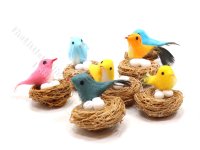 Miniature Bird in Nest with Eggs (image for) Miniature Bird in Nest with Eggs