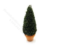 Miniature 3 inch Spruce Topiary for Dollhouses (image for) Miniature 3 inch Spruce Topiary for Dollhouses
