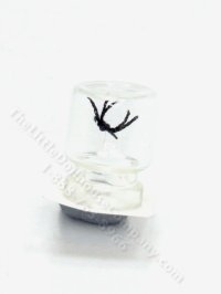 Miniature Spider in a Jar by Charlotte Willmott (image for) Miniature Spider in a Jar by Charlotte Willmott