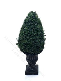 Miniature 4-1/2" Pine Topiary in a Black Planter for Dollhouses (image for) Miniature 4-1/2" Pine Topiary in a Black Planter for Dollhouses