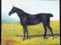 Golding Constable's Black Riding Horse by Larry Morganti (image for) Golding Constable's Black Riding Horse by Larry Morganti