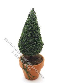 Miniature 5" Topiary in Mossy Terracotta Pot for Dollhouses (image for) Miniature 5" Topiary in Mossy Terracotta Pot for Dollhouses