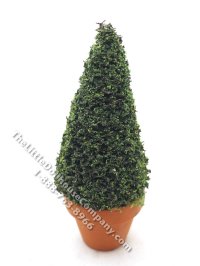 Miniature 5 inch Spruce Topiary in Terracotta Pot for Dollhouses (image for) Miniature 5 inch Spruce Topiary in Terracotta Pot for Dollhouses