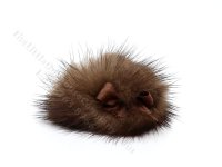 Miniature Mink Fur Hat for Dollhouses (image for) Miniature Mink Fur Hat for Dollhouses