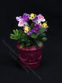 Miniature Pansies in Pink Planter by Mini Creations by Judy (image for) Miniature Pansies in Pink Planter by Mini Creations by Judy
