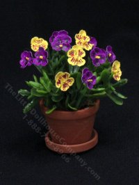 Miniature Pansies in Terracotta Pot by Mini Creations by Judy (image for) Miniature Pansies in Terracotta Pot by Mini Creations by Judy