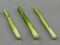 Dollhouse Scale Model Asparagus (image for) Dollhouse Scale Model Asparagus