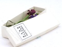 Miniature Box of Orchids by Barb Plevan (image for) Miniature Box of Orchids by Barb Plevan