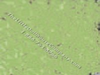 Miniature Green Loose Flocking for Dollhouses (image for) Miniature Green Loose Flocking for Dollhouses