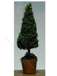 Miniature 4 inch Fir Topiary for Dollhouses (image for) Miniature 4 inch Fir Topiary for Dollhouses