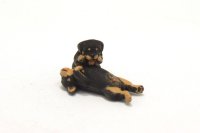 Pair of Miniature Rottweiler Puppies by Karl Blindheim (image for) Pair of Miniature Rottweiler Puppies by Karl Blindheim