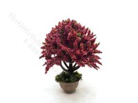 Miniature 2-3/8" inch Potted Topiary with Red Blossoms (image for) Miniature 2-3/8" inch Potted Topiary with Red Blossoms