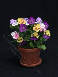Miniature Pansies in Terracotta Pot by Mini Creations by Judy (image for) Miniature Pansies in Terracotta Pot by Mini Creations by Judy