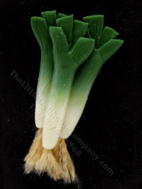 Miniature Leeks by Charlotte Willmott of Mouse House (image for) Miniature Leeks by Charlotte Willmott of Mouse House