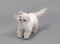 Miniature Long Haired Cat by Marie W. Evans - Himalayan (image for) Miniature Long Haired Cat by Marie W. Evans - Himalayan
