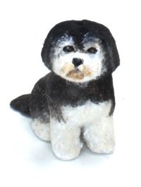 Miniature Morkie Puppy by Karl Blindheim (image for) Miniature Morkie Puppy by Karl Blindheim