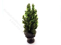 Miniature 5 inch Fir Tree in Black Round Base for Dollhouses (image for) Miniature 5 inch Fir Tree in Black Round Base for Dollhouses
