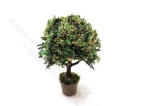 Miniature 2.5 inch Potted Topiary with White Blossoms (image for) Miniature 2.5 inch Potted Topiary with White Blossoms