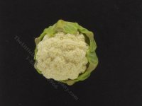 Miniature Cauliflower by Charlotte Willmott of Mouse House (image for) Miniature Cauliflower by Charlotte Willmott of Mouse House