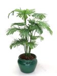 Miniature Potted Parlour Palm by Mini Creations by Judy (image for) Miniature Potted Parlour Palm by Mini Creations by Judy