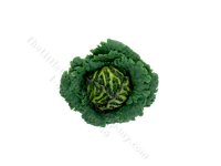 Dollhouse Scale Model Green Savoy Cabbage by Charlotte Willmott (image for) Dollhouse Scale Model Green Savoy Cabbage by Charlotte Willmott