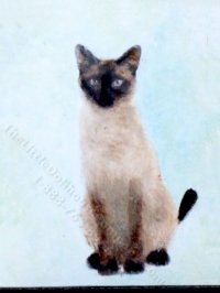 Miniature Siamese Cat Painting by Larry Morganti (image for) Miniature Siamese Cat Painting by Larry Morganti