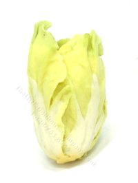 Miniature Cuttable Head of Romaine Lettuce (image for) Miniature Cuttable Head of Romaine Lettuce