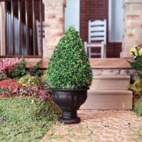 Miniature 2" Spruce Tree Topiary in Black Planter Pot (image for) Miniature 2" Spruce Tree Topiary in Black Planter Pot