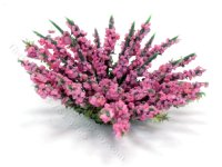 Miniature Pink Blossom Bush for Dollhouses (image for) Miniature Pink Blossom Bush for Dollhouses