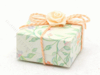Miniature Floral Gift Box (image for) Miniature Floral Gift Box