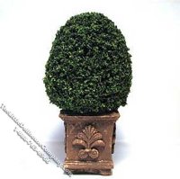 Miniature 4inch Topiary in a Square Base for Dollhouses (image for) Miniature 4inch Topiary in a Square Base for Dollhouses