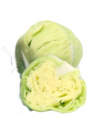 Miniature Cuttable Head of Iceberg Lettuce (image for) Miniature Cuttable Head of Iceberg Lettuce