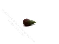 Miniature Avocado by Charlotte Willmott (image for) Miniature Avocado by Charlotte Willmott
