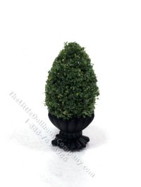 Miniature 2" Spruce Tree Topiary in Black Planter Pot (image for) Miniature 2" Spruce Tree Topiary in Black Planter Pot