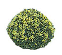 Miniature 1/2 inch Yellow Mound Bush (5 pcs) for Dollhouses (image for) Miniature 1/2 inch Yellow Mound Bush (5 pcs) for Dollhouses